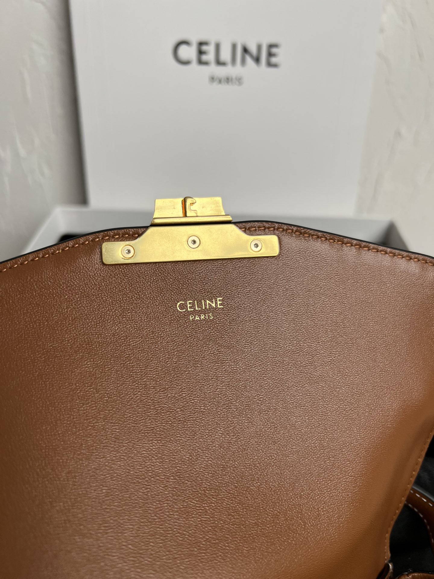 Celine Triomphe Bags